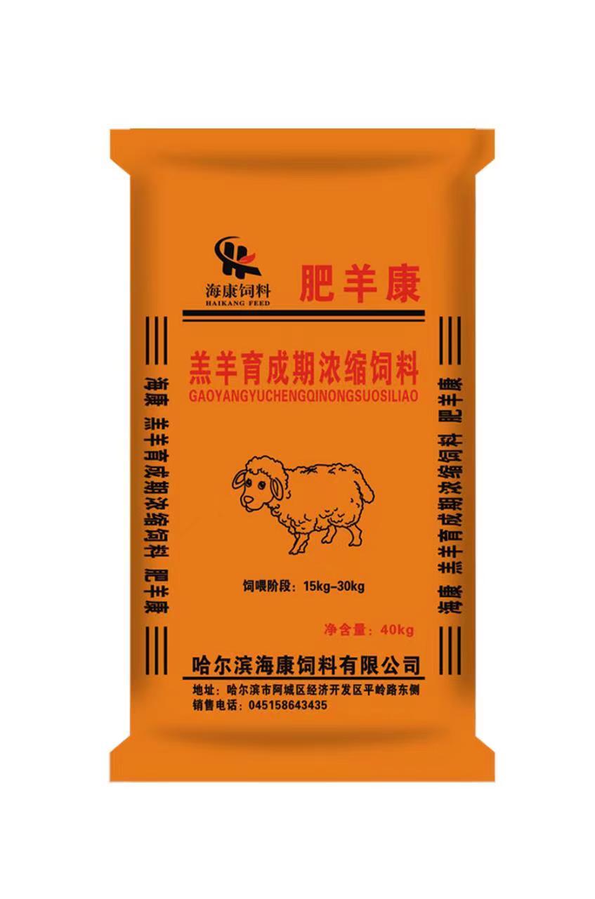 肉用繁殖母牛饲料解析：如何实现高产高质养殖